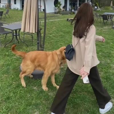 娘心计