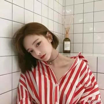 忍冬玫瑰